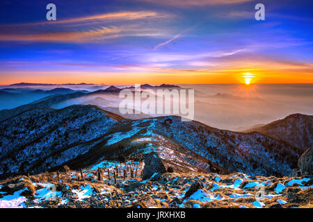 Winterlandschaft mit Sonnenuntergang und Neblig in Deogyusan Berge, Südkorea. Stockfoto