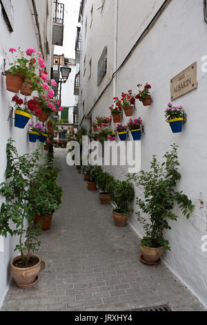 Typische Gasse mit Töpfen und weiß getünchten Wänden, weißen Andalusien Stockfoto