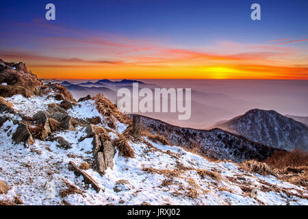 Winterlandschaft mit Sonnenuntergang und Neblig in Deogyusan Berge, Südkorea. Stockfoto