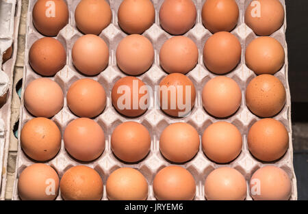 Huhn Eier in Fächer gestapelt Stockfoto