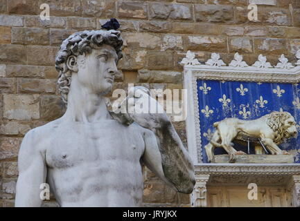 Florenz, ES - 05. August 2017 - eine Taube sitzt auf Statue der Kopf des David in Piazza della Signoria in Florenz. Stockfoto