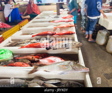 Verkauf von frischen Meeresfrüchten Fisch auf der Touristenattraktion lokalen Markt in Jimbaran, Bali Insel Stockfoto