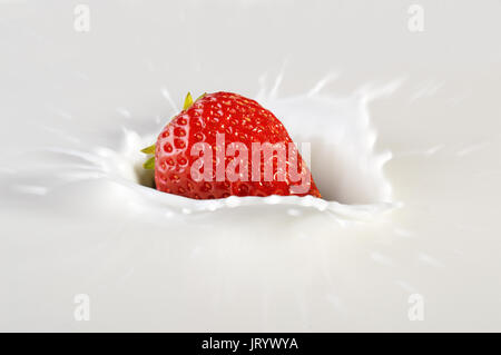 Frische Erdbeeren in die Milch fallen Spritzwasser. Stockfoto