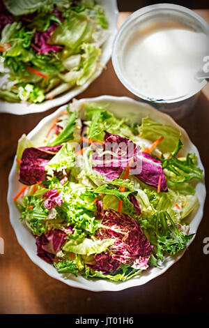 Gemischt Blätter Salat - Grüns mit Radicchio Salat und geriebenen Karotten Stockfoto