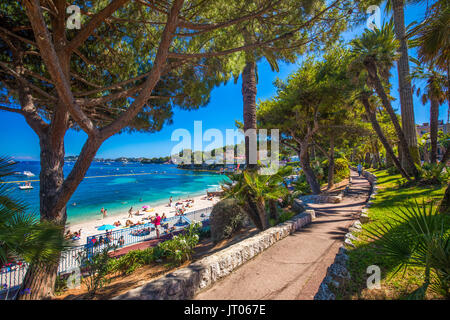 Strandpromenade im Beaulieu-sur-Mer Dorf mit Palmen, Pinien und azurblauen Wasser, Cote d'Azur, Französische Riviera, Frankreich, Europa. Stockfoto