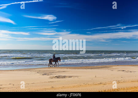 Paar Pferde friedlich stralling entlang dem Strand an der Nordseeküste in der Nähe von De Haan, Belgien Stockfoto