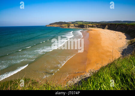 Wiese von grünem Gras und Blumen. Playa de Langre, Ribamontan al Mar, trasmiera Küste. Kantabrischen Meer. Kantabrien, Spanien. Europa Stockfoto