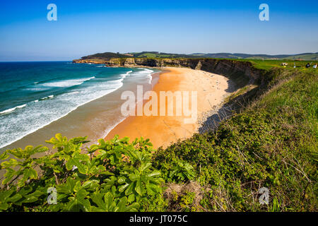 Wiese von grünem Gras und Blumen. Playa de Langre, Ribamontan al Mar, trasmiera Küste. Kantabrischen Meer. Kantabrien, Spanien. Europa Stockfoto