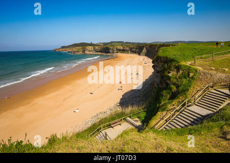 Wiese von grünem Gras und Blumen. Playa de Langre, Ribamontan al Mar, trasmiera Küste. Kantabrischen Meer. Kantabrien, Spanien. Europa Stockfoto