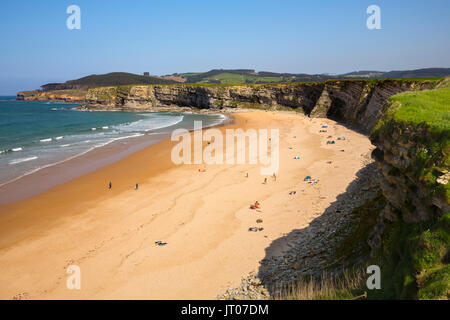 Wiese von grünem Gras und Blumen. Playa de Langre, Ribamontan al Mar, trasmiera Küste. Kantabrischen Meer. Kantabrien, Spanien. Europa Stockfoto