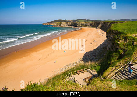 Wiese von grünem Gras und Blumen. Playa de Langre, Ribamontan al Mar, trasmiera Küste. Kantabrischen Meer. Kantabrien, Spanien. Europa Stockfoto