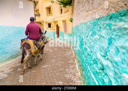 Mann, einen Esel, der das Leben auf der Straße Szene, Moulay Idriss. Marokko, Maghreb Nordafrika Stockfoto