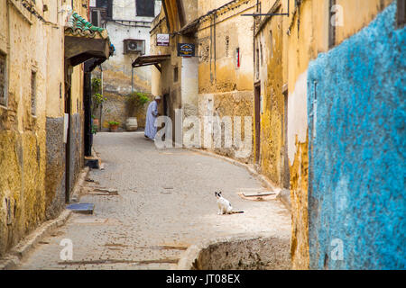Das Leben auf der Straße. Souk Medina von Fes, Fes el Bali. Marokko, Maghreb Nordafrika Stockfoto
