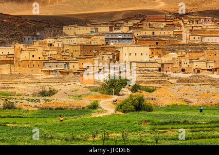 Landwirtschaft, Tilmi Bergdorf. Dades Tal, Dades Schluchten, Hohen Atlas. Marokko, Maghreb Nordafrika Stockfoto