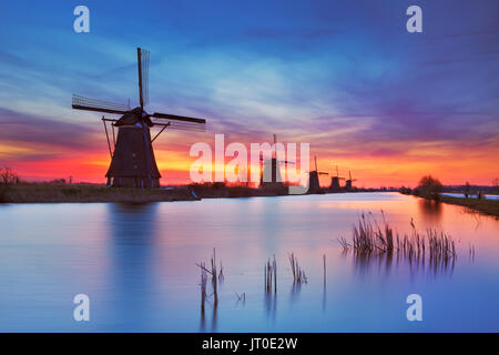 Traditionelle holländische Windmühlen mit einem bunten Himmel kurz vor Sonnenaufgang. Die berühmte Kinderdijk fotografierte. Stockfoto