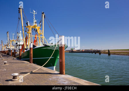 Trawler im Hafen von Oudeschild auf der Insel Texel in den Niederlanden an einem sonnigen Tag. Stockfoto