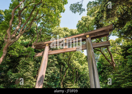 Torii-Tor, das zum Meiji-Schrein-Komplex führt, Tokio, Japan Stockfoto