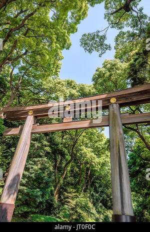 Torii-Tor, das zum Meiji-Schrein-Komplex führt, Tokio, Japan Stockfoto