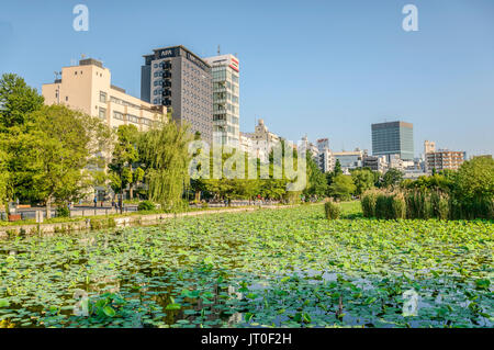 Shinobazuno Teich im Ueno Park, mit der Skyline von Ueno im Hintergrund, Taitō, Tokio, Japan Stockfoto