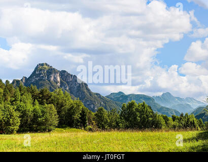 Idyllische Landschaft in den Alpen mit frischen grünen Wiesen Stockfoto