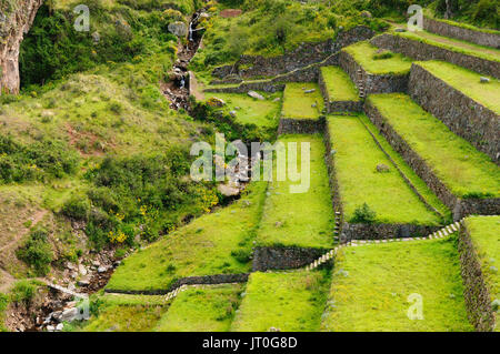 Peru, Pisac () - Inka Ruinen von Pisaq im Heiligen Tal in den peruanischen Anden. Das Bild zeigt das Feld Terrassen Stockfoto