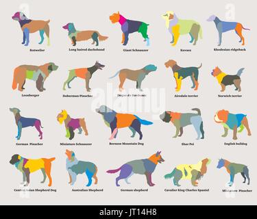 Vektor-Set bunte Mosaik isoliert verschiedener Rassen Hunde Silhouetten auf grauem Hintergrund Stock Vektor