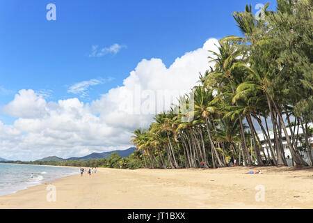 Schönen Morgen auf der Sandfläche im Süden von den wichtigsten Palm Cove, nördlich von Cairns, Queensland, Australien Stockfoto