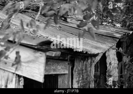 Ein altes Gartenhaus in Südtexas befindet, zeigt die verrostete Blechdach und verwittertes Holz Framing Stockfoto