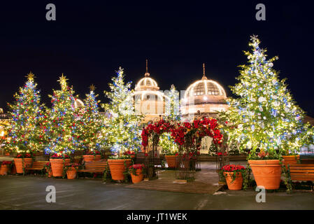 SEOUL, KOREA - Dezember 21,2014: Weihnachtsbaum leuchtet bei ninght in Everland. Foto am 21. Dezember 2014 in Seoul, Südkorea. Stockfoto