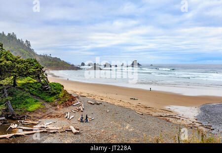 Surfer gehen Sie zu surfen und zurück, von indischen Strand Trailhead, im Ecola State Park in Oregon, USA. Dieser Strand ist sehr beliebt bei Surfern. Stockfoto