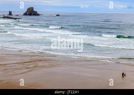 Mann zeigt junge, wie man surft, von indischen Strand Trailhead, im Ecola State Park in Oregon, USA. Dieser Strand ist sehr beliebt bei Surfer Stockfoto