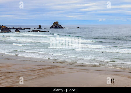 Mann zeigt junge, wie man surft, von indischen Strand Trailhead, im Ecola State Park in Oregon, USA. Dieser Strand ist sehr beliebt bei Surfer Stockfoto