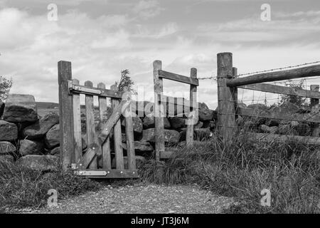 Ein rustikales, schrägen hölzerne Tor in einem traditionellen Stein Wand zwischen Feldern in den ländlichen Lancashire Landschaft. Schwarz und Weiß Stockfoto