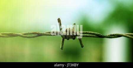 Alt und verrostet Stacheldraht closeup Stockfoto