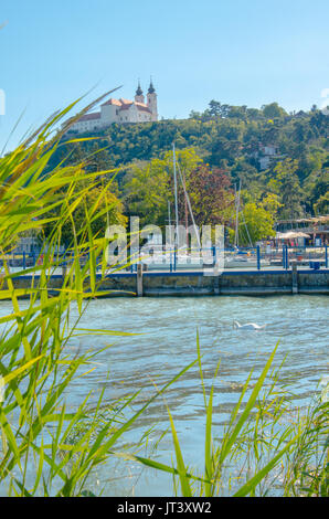 Abtei Tihany mit Hafen, Hochformat throug Reed mit Swan am Plattensee. Stockfoto