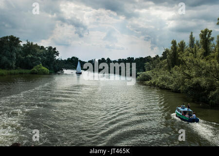 Biesbosch Stockfoto