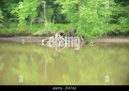 Forrest Sehenswürdigkeiten Stockfoto