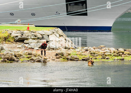 Eidfjord, Norwegen - 31. Juli 2017: Reisedokumentation der Person, die auf dem Ufer, während sein Hund ein Bad in den Fjord. Große luxuriöse Kreuzfahrtschiff Stockfoto