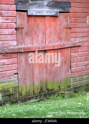 Verwitterte Red Barn Tür Stockfoto