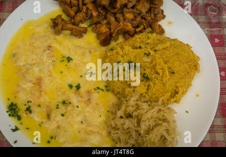 Typische Platte in den Bergen mit Polenta, Pilze und geschmolzenem Käse gekocht. Trentino Alto Adige, Italien Stockfoto