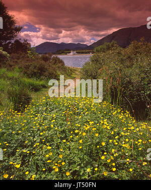 Sommer Blick über den Sund Corran in Richtung Ardgour, Corran, West Highlands Stockfoto
