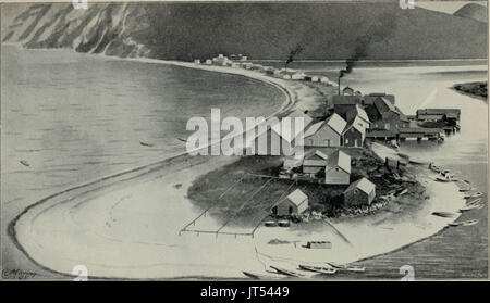 "Alaska, seine Geschichte und Ressourcen, gold Fields, Routen und Landschaft" (1899) Stockfoto