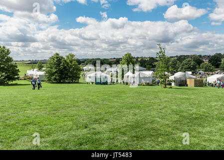 Rhs Hyde Hall Sommer flower show Stockfoto