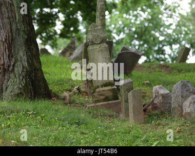 Ältere verschlissene Grabsteine von Baumwurzeln umgeworfen, keine Namen angezeigt. Stockfoto
