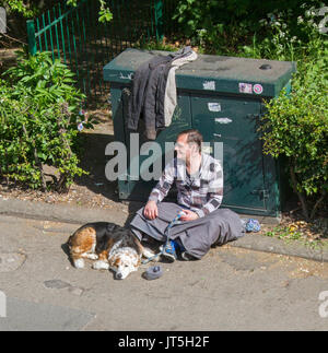Obdachlosen Mann sitzt auf Pflaster mit schlafenden Hund in York, England Stockfoto