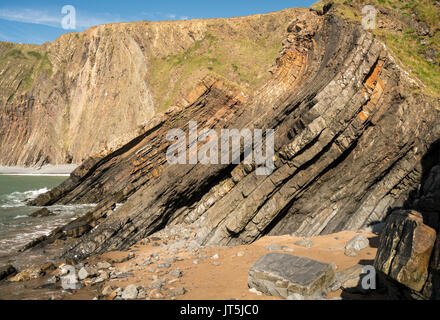 Einzigartige Struktur der Felsen bei Hartland Quay in North Devon Stockfoto