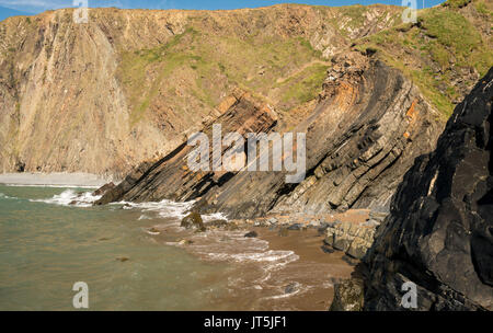 Einzigartige Struktur der Felsen bei Hartland Quay in North Devon Stockfoto