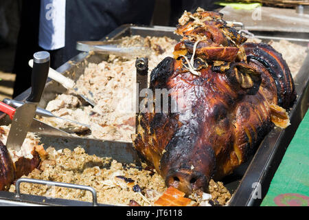 Spanferkel für zog Schweinefleisch Stockfoto