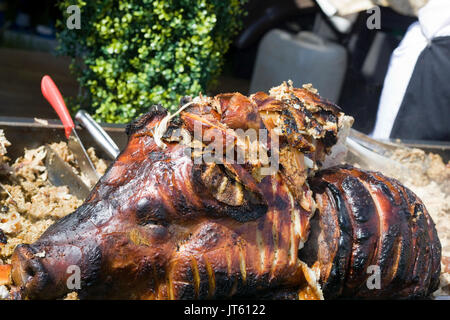 Spanferkel für zog Schweinefleisch Stockfoto