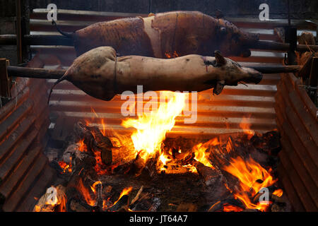 Leckere Schweine traditionell zubereitete Abendessen auf einem sich drehenden Spieß mit heißen Feuer und Kohle unter. Stockfoto